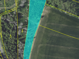 Prodej lesa, Čechtice - Jeníkov, 5835 m2