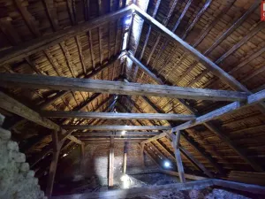 Prodej rodinného domu, Pavlov, 1175 m2