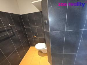 Pronájem bytu 2+1, Chomutov, Kostnická, 61 m2
