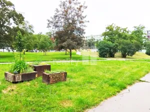 Pronájem bytu 3+kk, Praha - Karlín, Nekvasilova, 47 m2