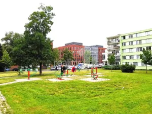 Pronájem bytu 3+kk, Praha - Karlín, Nekvasilova, 47 m2