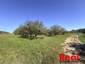 Prodej pozemku pro bydlení, Veverské Knínice, 3129 m2