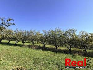 Prodej pozemku pro bydlení, Veverské Knínice, 3129 m2