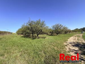 Prodej pozemku pro bydlení, Veverské Knínice, 3129 m2