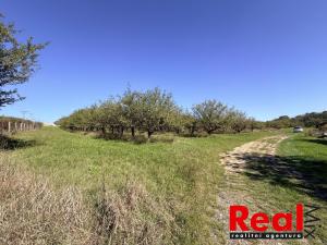 Prodej pozemku pro bydlení, Veverské Knínice, 3129 m2