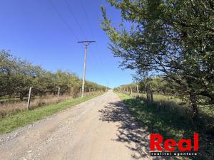 Prodej pozemku pro bydlení, Veverské Knínice, 3129 m2