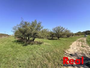 Prodej pozemku pro bydlení, Veverské Knínice, 3129 m2