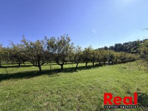 Prodej pozemku pro bydlení, Veverské Knínice, 3129 m2