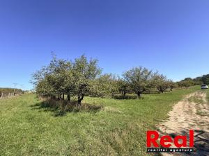 Prodej pozemku pro bydlení, Veverské Knínice, 3129 m2