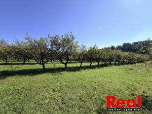 Prodej pozemku pro bydlení, Veverské Knínice, 3129 m2
