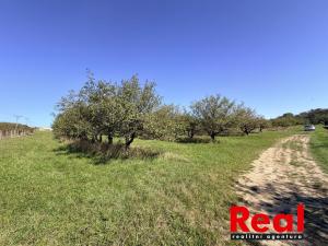 Prodej pozemku pro bydlení, Veverské Knínice, 3129 m2