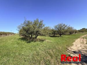 Prodej pozemku pro bydlení, Veverské Knínice, 3129 m2