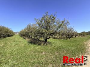 Prodej pozemku pro bydlení, Veverské Knínice, 3129 m2