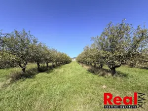 Prodej pozemku pro bydlení, Veverské Knínice, 3129 m2