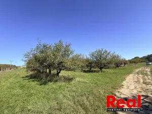 Prodej pozemku pro bydlení, Veverské Knínice, 3129 m2