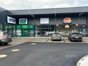 Pronájem obchodního prostoru, Pstruží, 160 m2