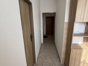 Pronájem bytu 2+1, Habartov, Karla Čapka, 53 m2