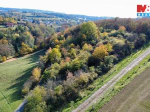 Prodej pole, Milešov, 4731 m2
