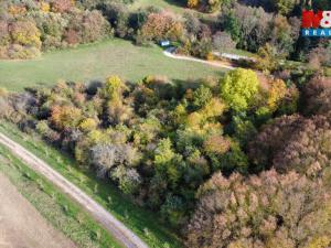 Prodej pole, Milešov, 4731 m2