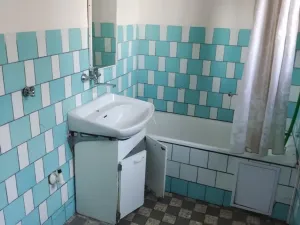 Prodej obchodního prostoru, Telč - Telč-Podolí, Svatoanenská, 600 m2