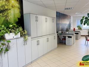 Pronájem kanceláře, Blansko, 78 m2