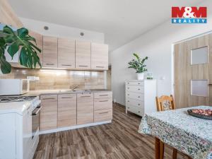 Prodej bytu 1+1, Ústí nad Labem - Ústí nad Labem-centrum, Hornická, 40 m2