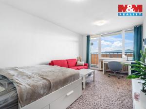 Prodej bytu 1+1, Ústí nad Labem - Ústí nad Labem-centrum, Hornická, 40 m2