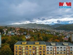 Prodej bytu 1+1, Ústí nad Labem - Ústí nad Labem-centrum, Hornická, 40 m2