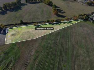 Prodej pozemku pro bydlení, Bor, U trati, 10360 m2