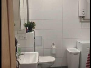 Pronájem bytu 2+kk, Praha - Smíchov, Podbělohorská, 62 m2