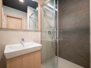 Pronájem bytu 1+kk, Praha - Holešovice, Tusarova, 53 m2