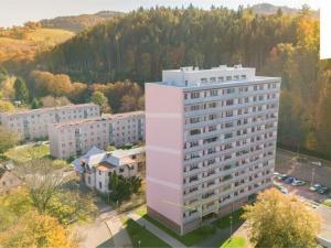 Prodej bytu 1+1, Náchod, Běloveská, 30 m2