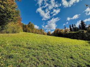 Prodej louky, Vápenná, 37686 m2