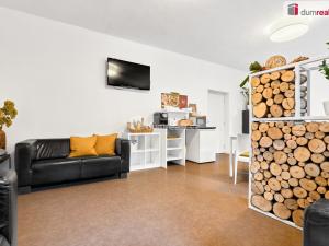 Prodej ubytování, Jáchymov - Suchá, 1526 m2