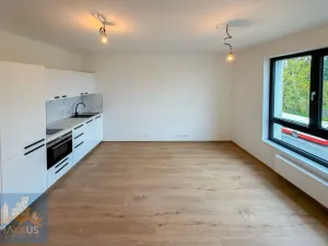Pronájem bytu 1+kk, Praha - Horní Měcholupy, Milánská, 31 m2