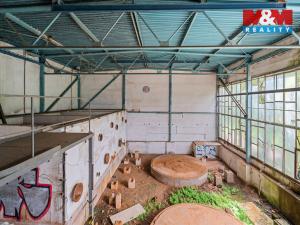 Prodej komerčního pozemku, Havlovice, 8238 m2