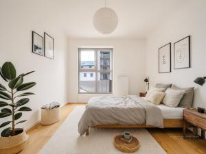 Prodej bytu 2+kk, Brno - Zábrdovice, Bratislavská, 47 m2