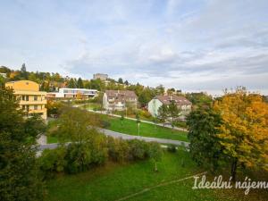 Pronájem bytu 1+kk, Brno, Vychodilova, 26 m2