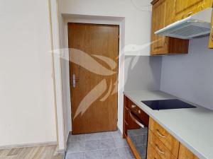Pronájem bytu 1+kk, Zbůch, Průkopnická, 23 m2