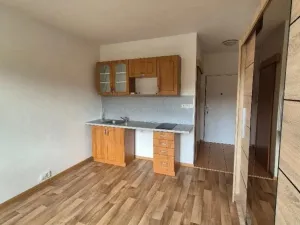 Pronájem bytu 1+kk, Karlovy Vary, Východní, 21 m2