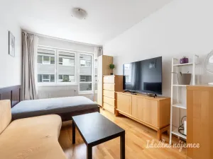 Pronájem bytu 1+kk, Praha - Michle, Jemnická, 28 m2
