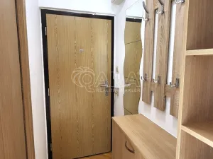 Pronájem bytu 1+kk, Brandýs nad Labem-Stará Boleslav - Brandýs nad Labem, Královická, 22 m2