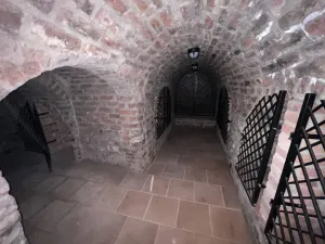 Pronájem restaurace, Hradec Králové, Velké náměstí, 558 m2