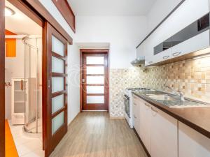 Pronájem bytu 1+1, Brno, Reissigova, 48 m2