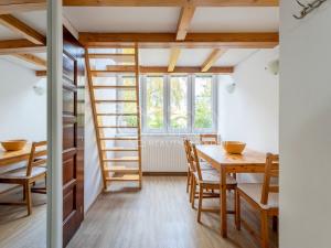 Pronájem bytu 1+1, Brno, Reissigova, 48 m2