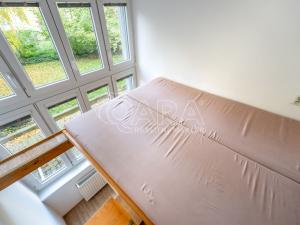 Pronájem bytu 1+1, Brno, Reissigova, 48 m2