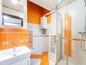 Pronájem bytu 1+1, Brno, Reissigova, 48 m2