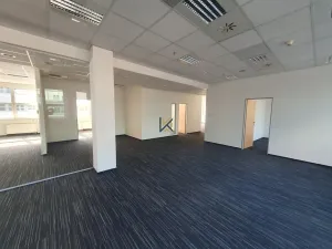 Pronájem komerční nemovitosti, Praha, Radlická, 405 m2