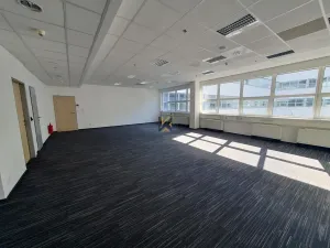 Pronájem komerční nemovitosti, Praha, Radlická, 789 m2