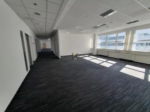 Pronájem komerční nemovitosti, Praha, Radlická, 789 m2